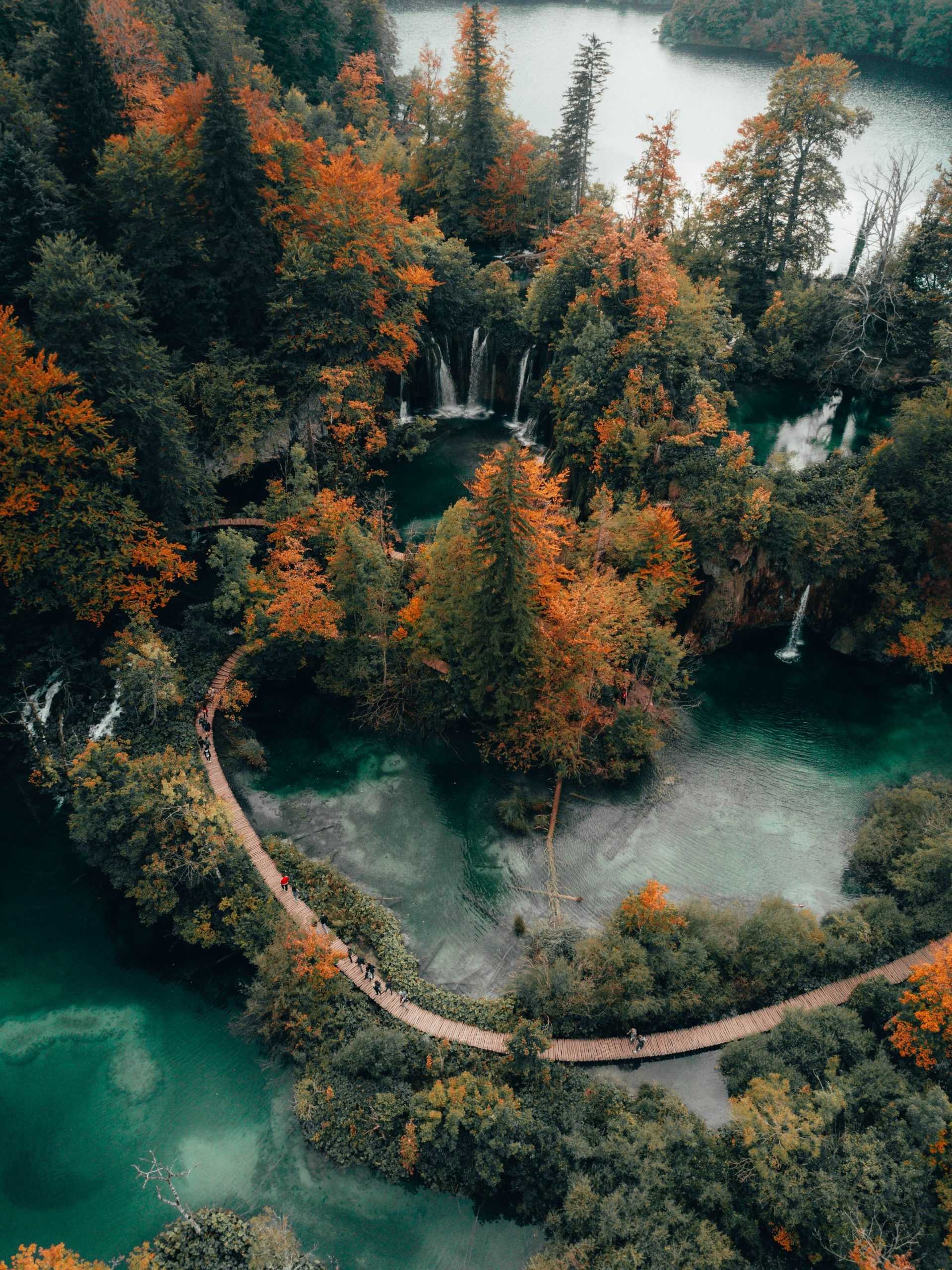 La esencia de la naturaleza: Explorando los cinco elementos La esencia de la naturaleza: Explorando los cinco elementos
