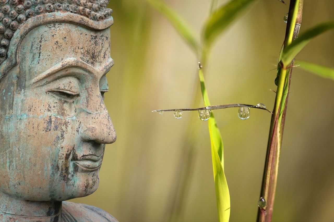 wellness, reed, relaxation
