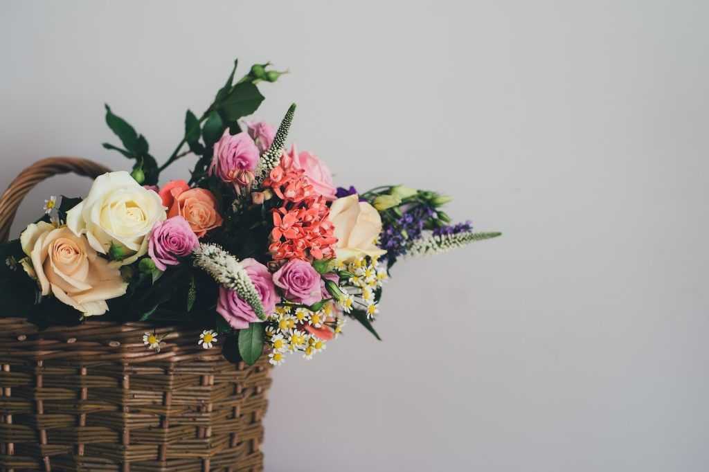 ramo de flores frescas