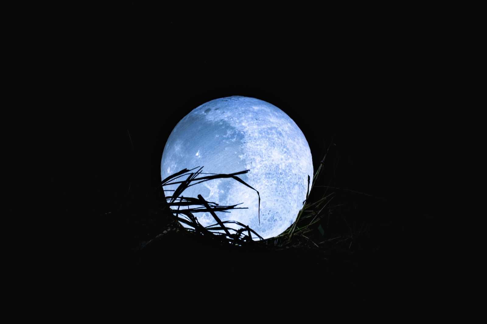 luna azul
