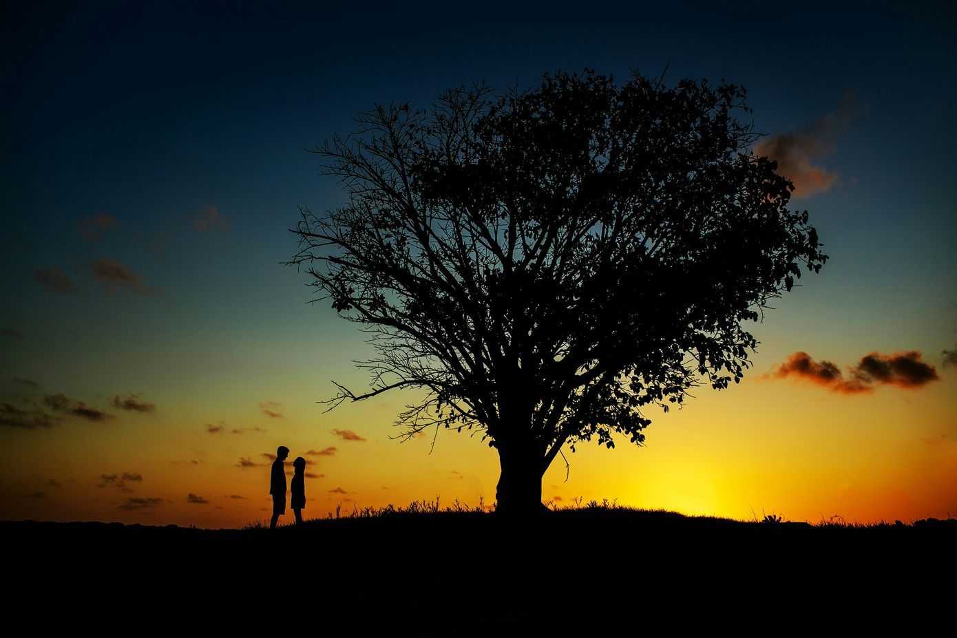 Amor y conexión con Cáncer